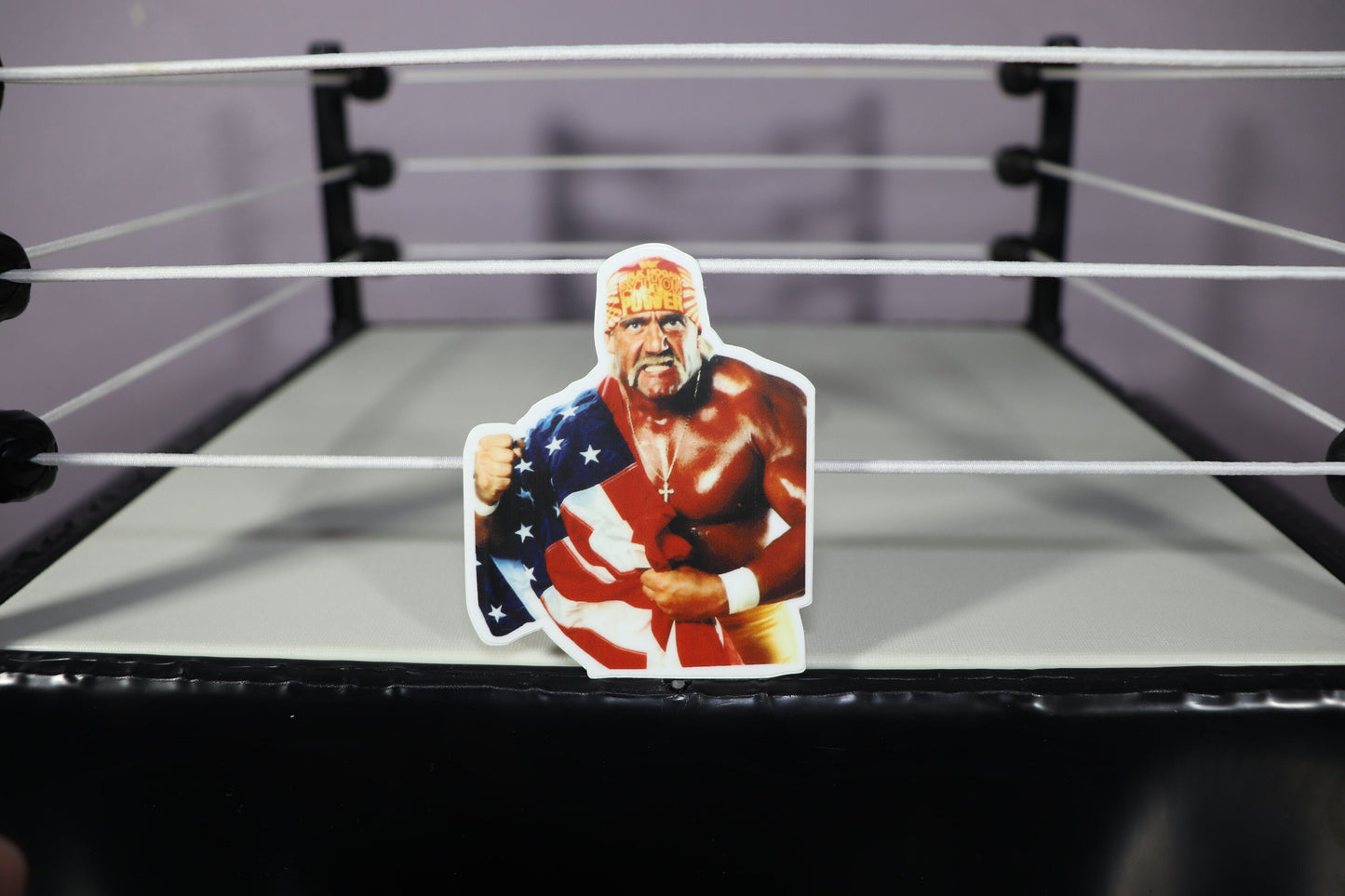 Hulk Hogan USA Sticker #2 (Ric Flair - Randy Savage - America - Ultimate Warrior - Bret Hart - Birthday - Gift - Present - Easter)