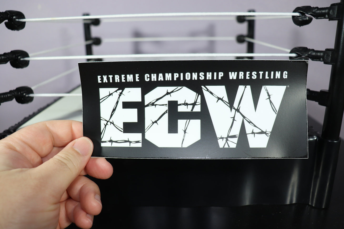 E C W Bumper Sticker