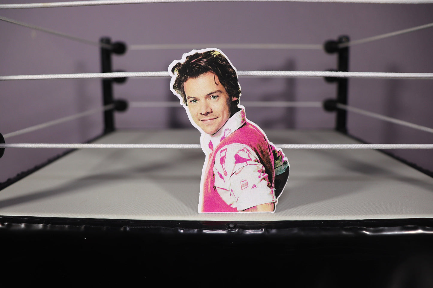 Harry Sticker #2