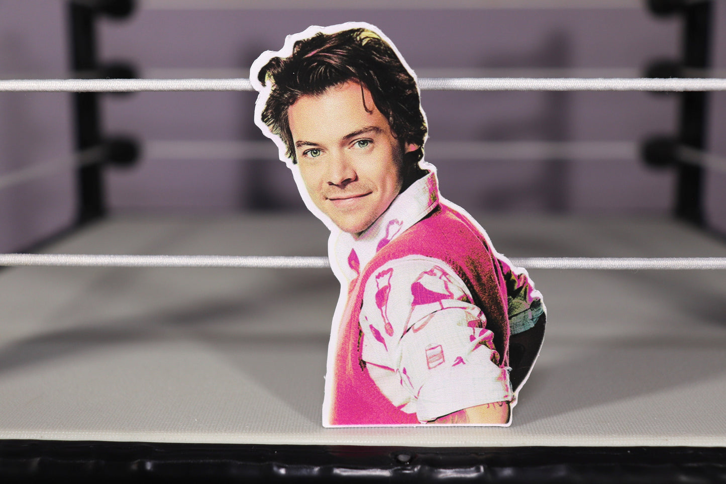 Harry Sticker #2