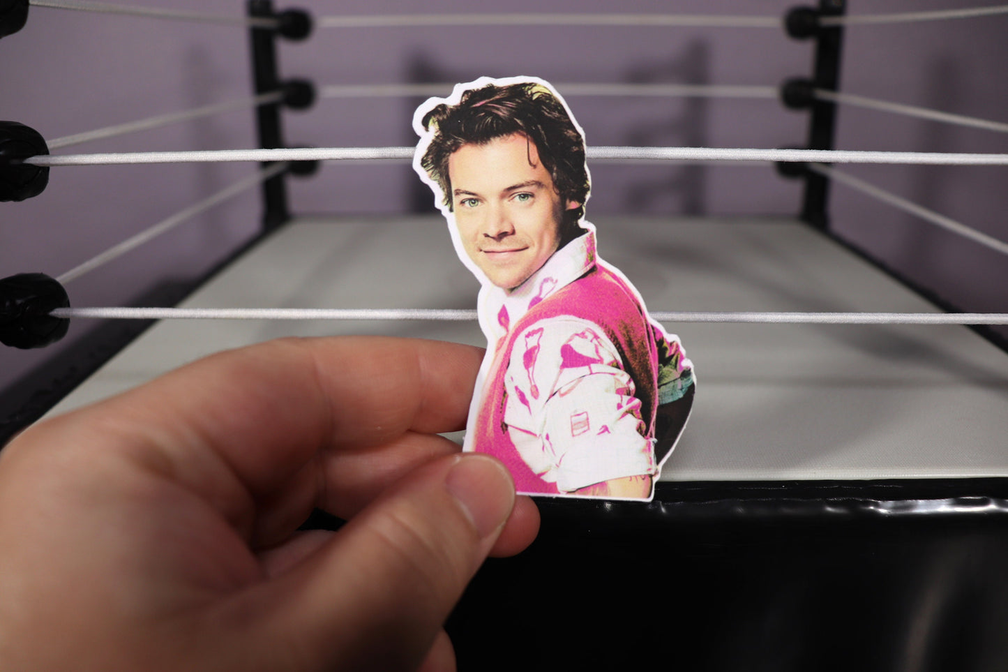 Harry Sticker #2