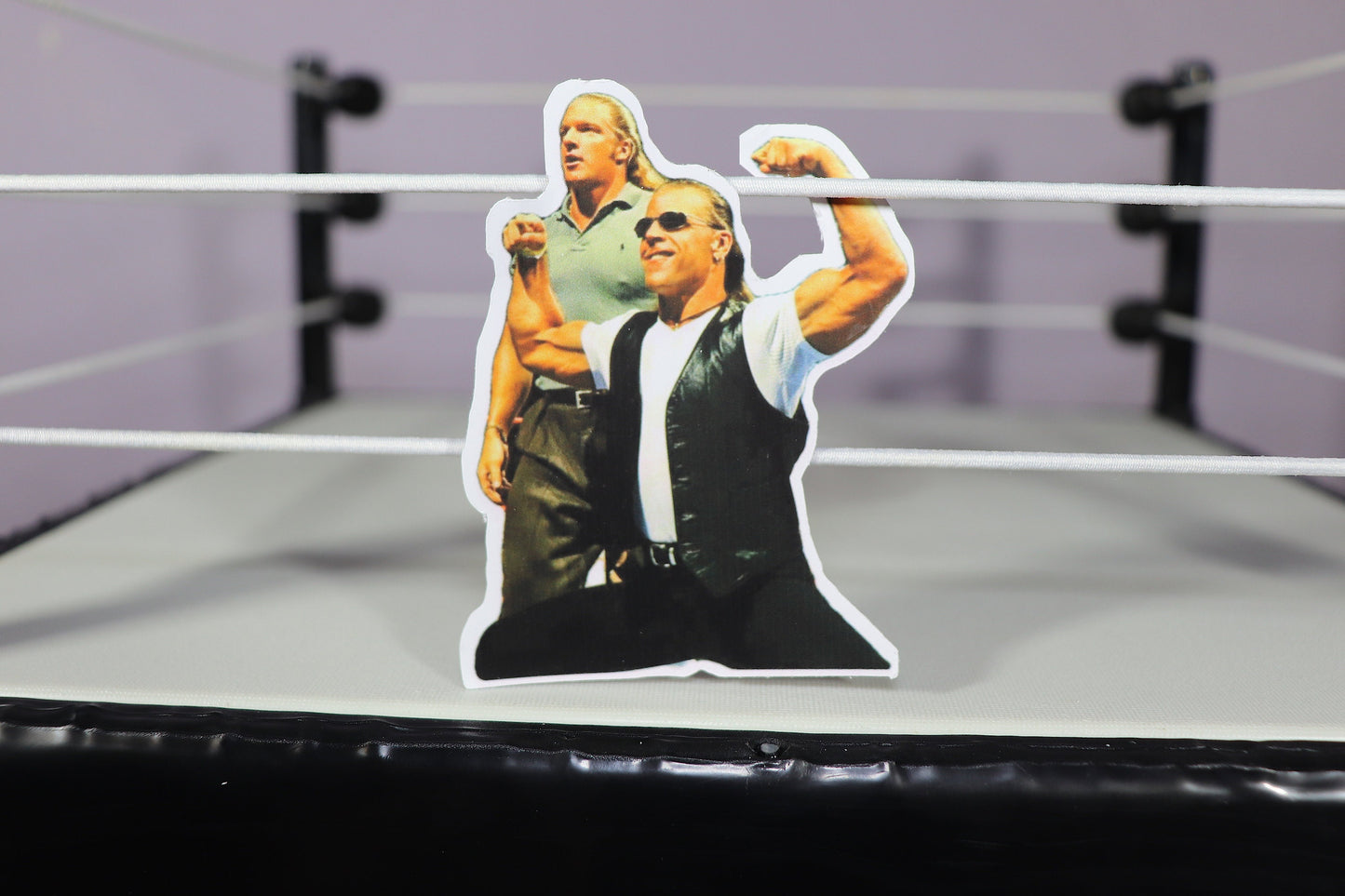 Shawn Michaels & HHH Sticker (Stickers - Decor - Pop Culture - Wrestling - Legends - Icons - Hulk Hogan - Randy Savage - Ric Flair)