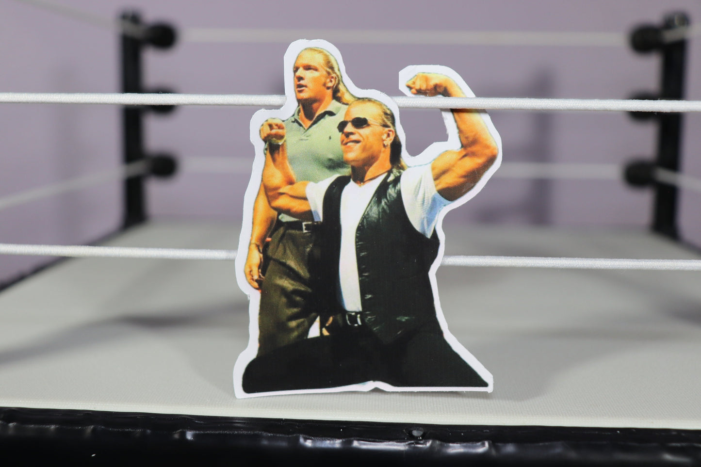 Shawn Michaels & HHH Sticker (Stickers - Decor - Pop Culture - Wrestling - Legends - Icons - Hulk Hogan - Randy Savage - Ric Flair)