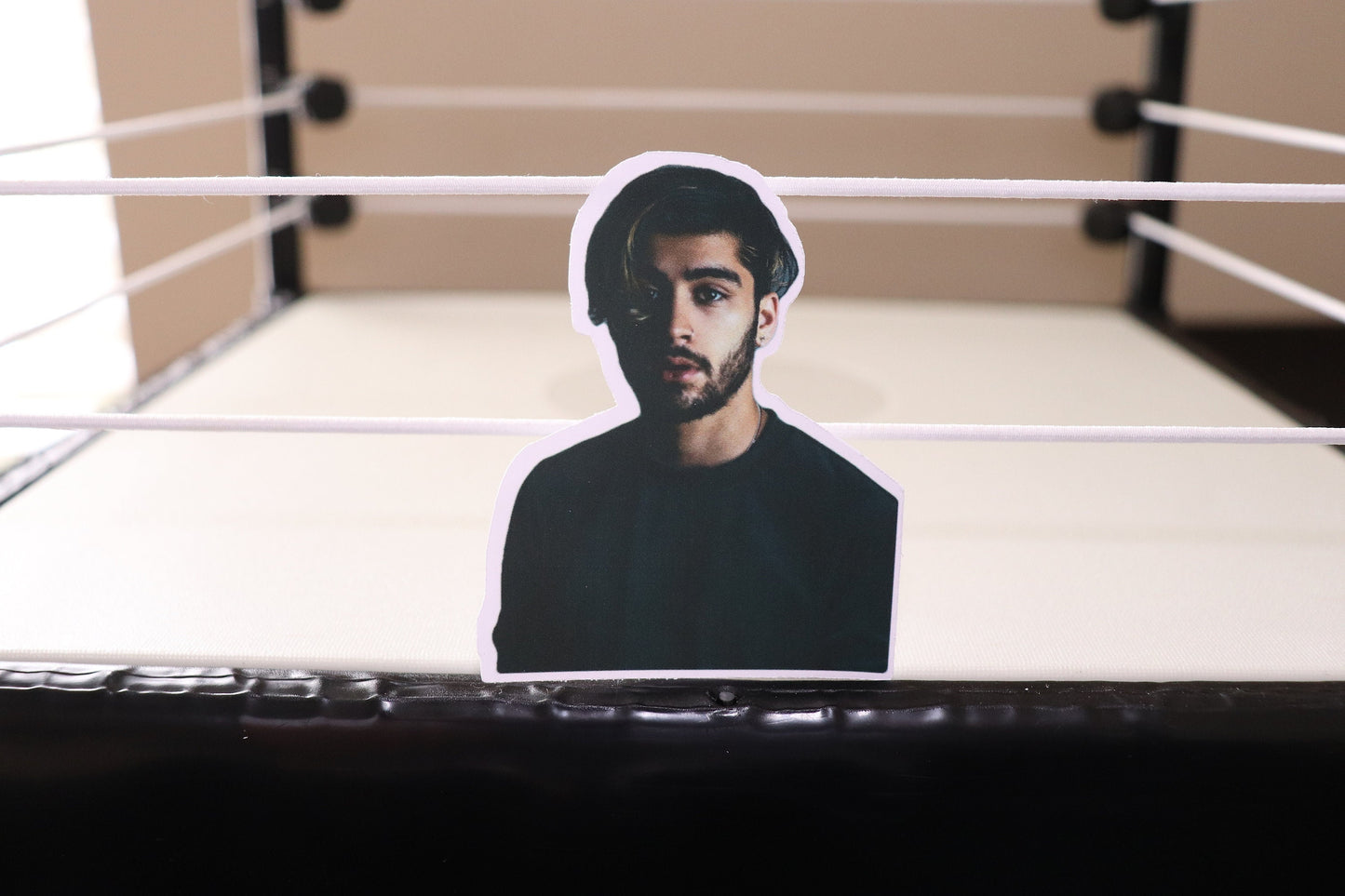 Zayn Sticker (One Direction, 1D)