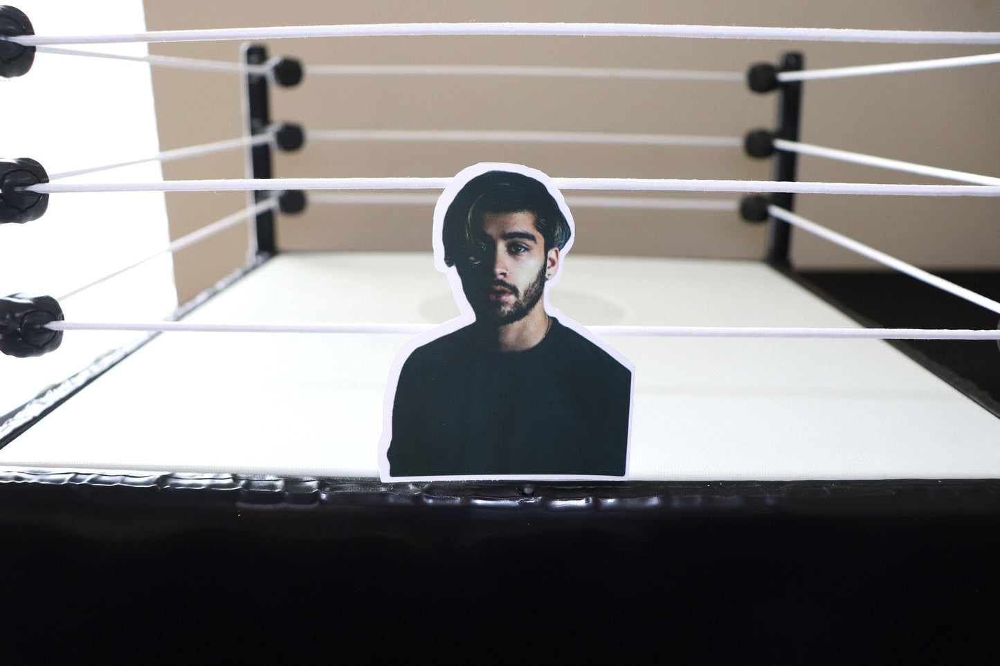 Zayn Sticker (One Direction, 1D)