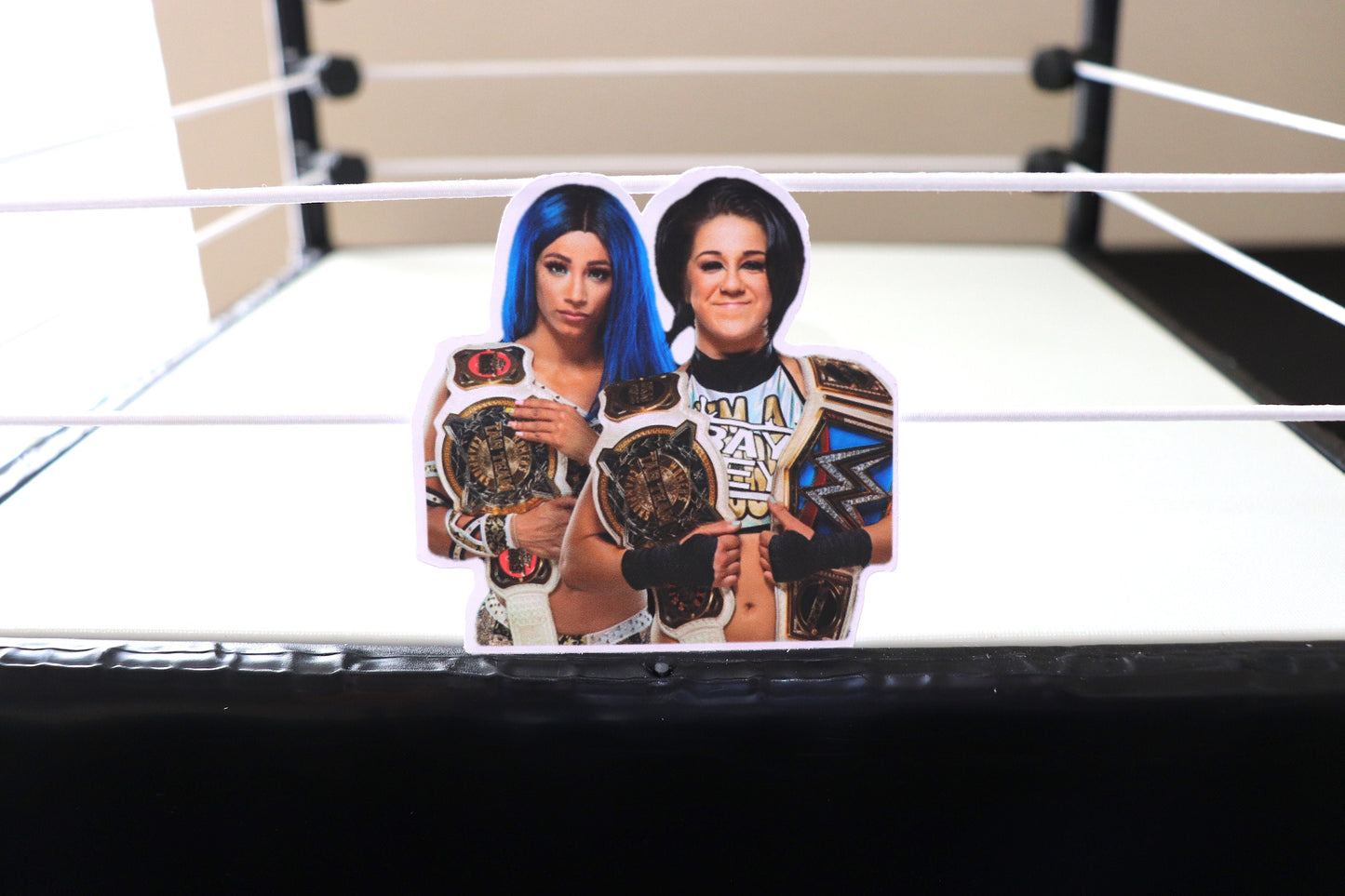 Sasha Banks X Bayley Sticker