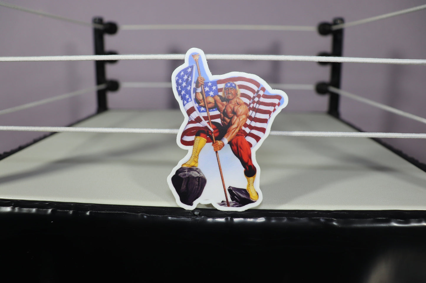 Hulk Hogan USA Sticker (Water Proof, Weather Proof, Sun Proof, Durable) (Pop Culture, Icon, America)