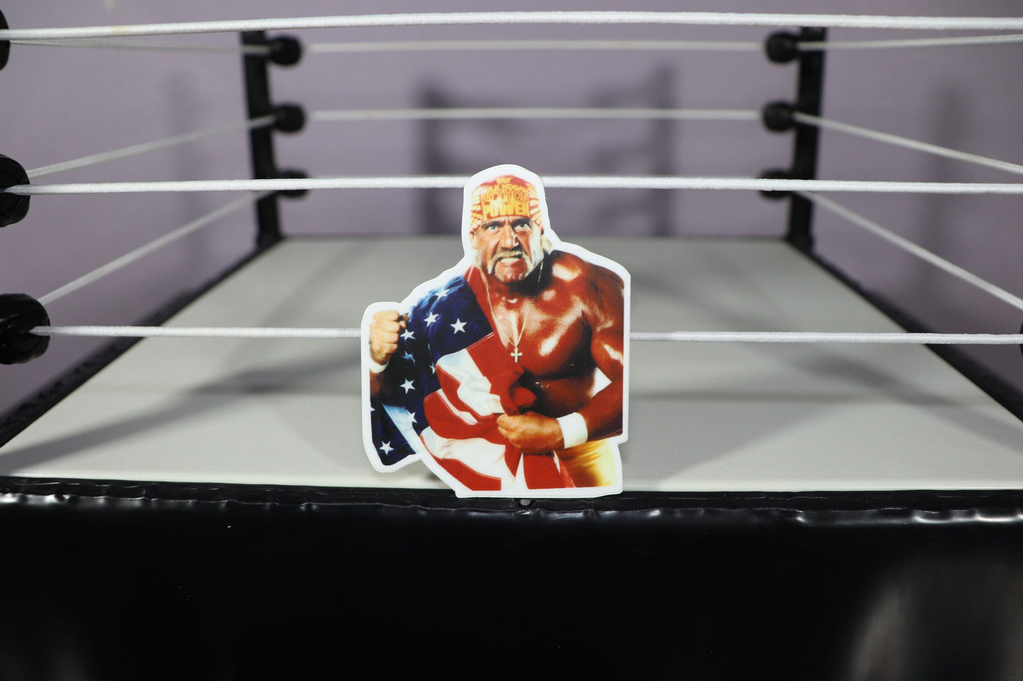 Hulk Hogan USA Sticker #2 (Ric Flair - Randy Savage - America - Ultimate Warrior - Bret Hart - Birthday - Gift - Present - Easter)