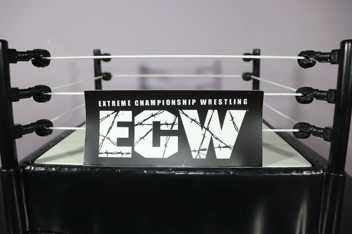 E C W Bumper Sticker