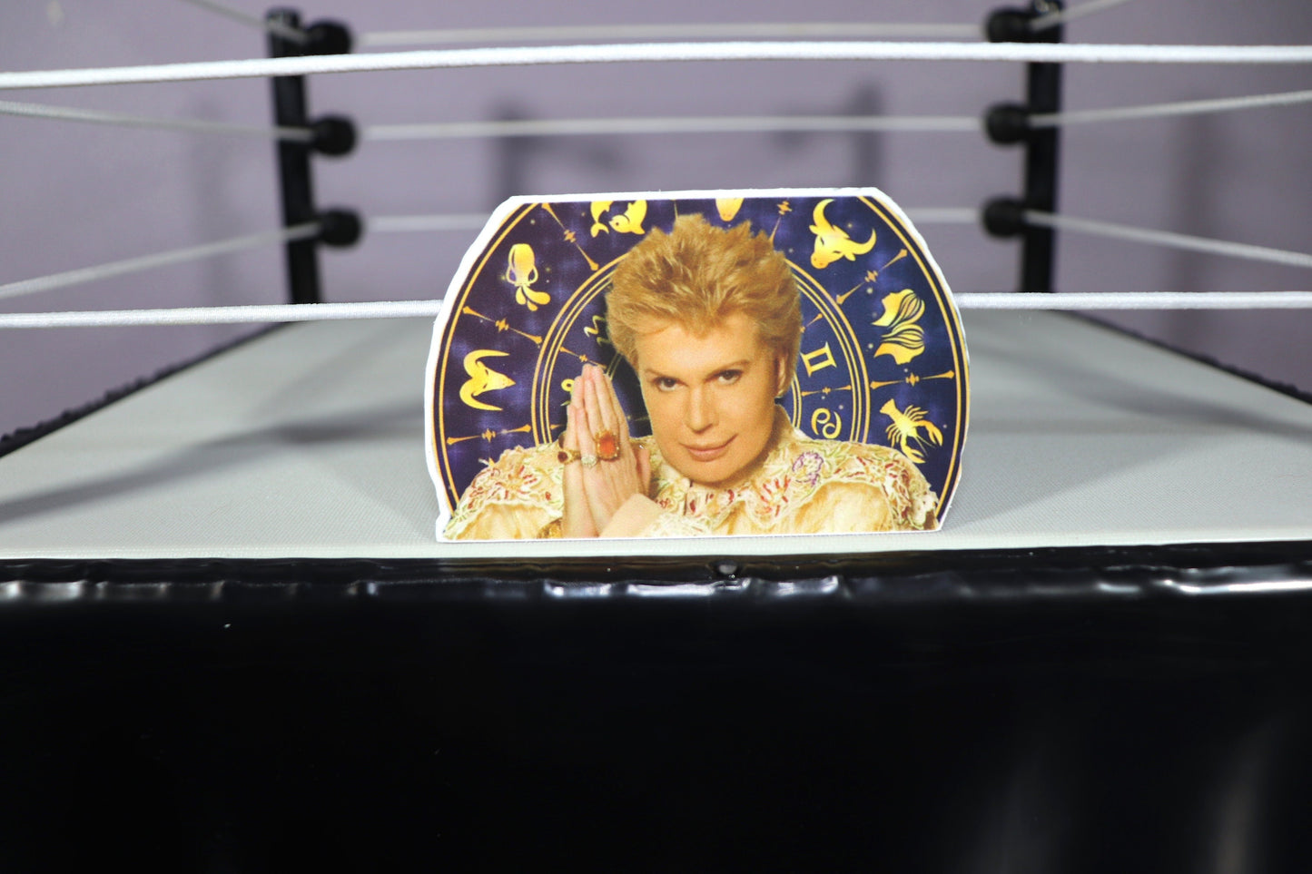 Walter Mercado Sticker #2