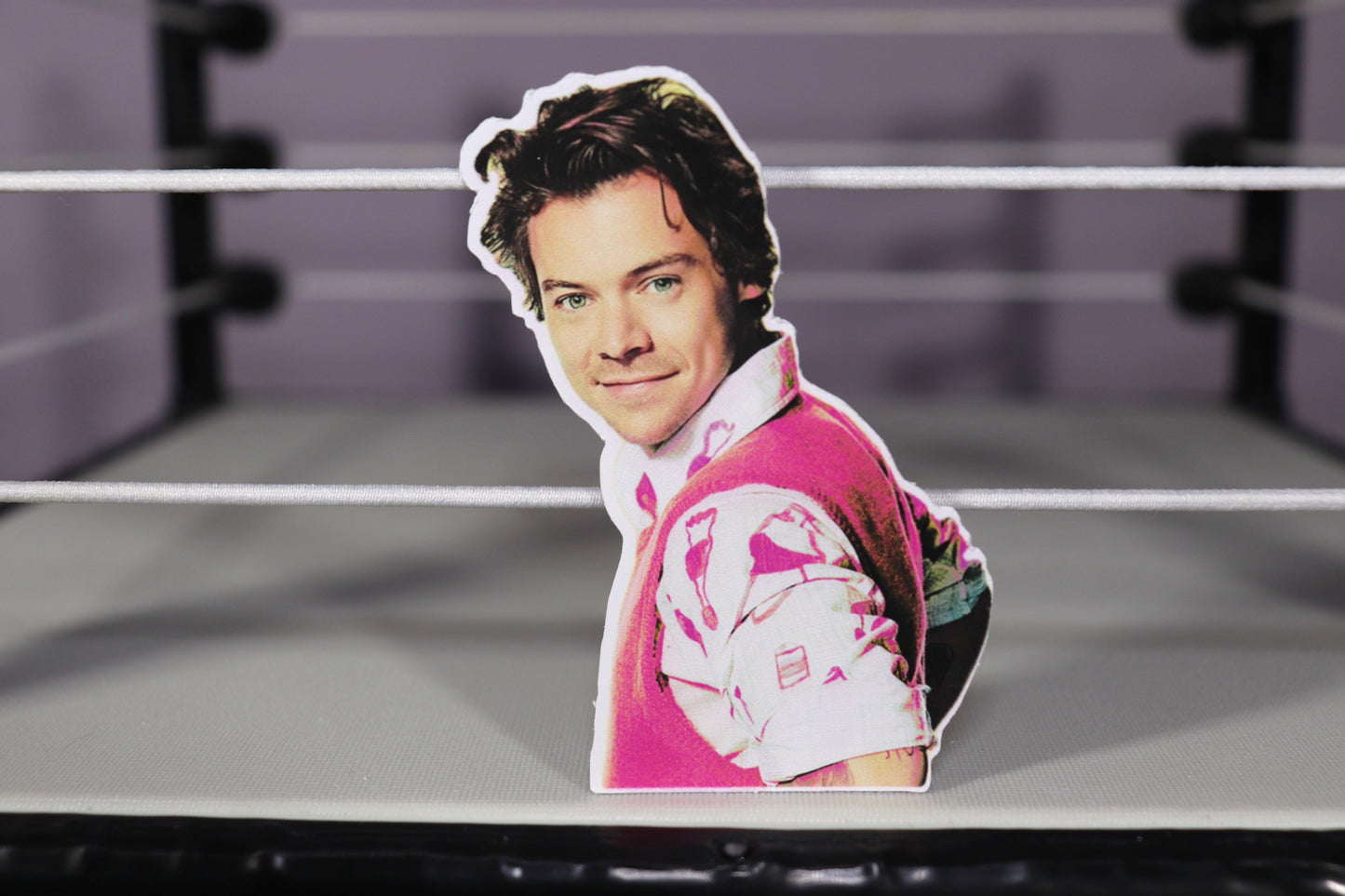 Harry Sticker #2