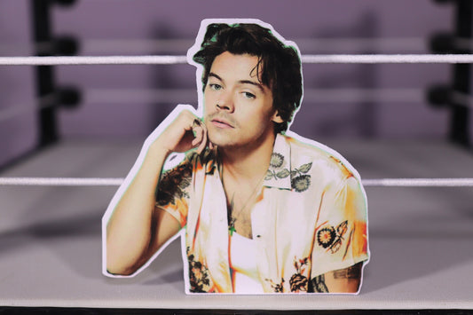 Harry Sticker #3