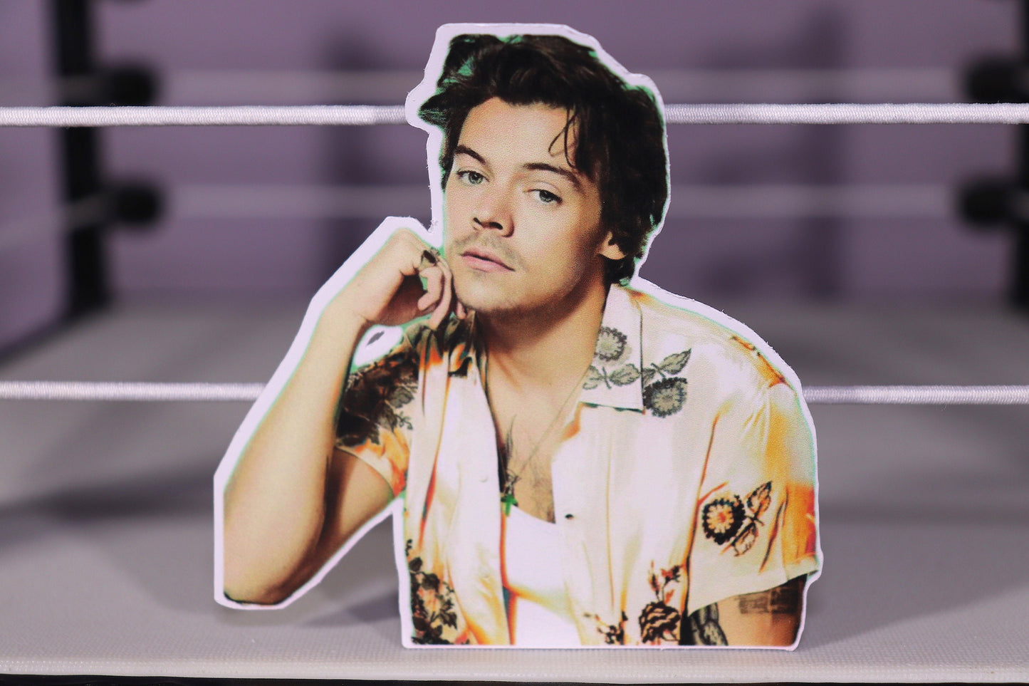 Harry Sticker #3