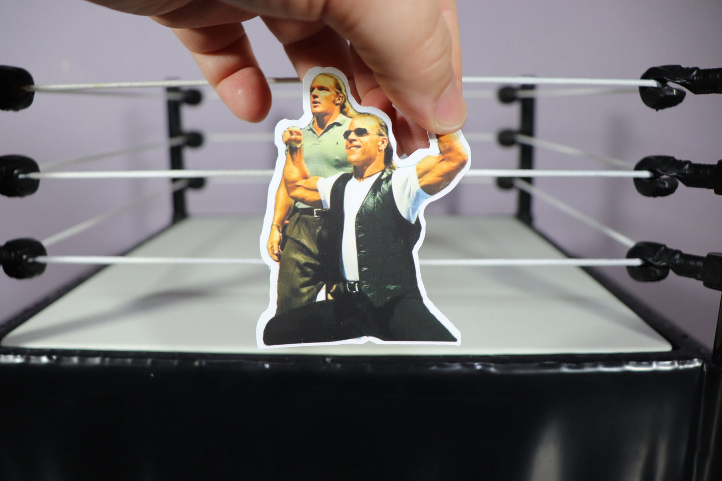 Shawn Michaels & HHH Sticker (Stickers - Decor - Pop Culture - Wrestling - Legends - Icons - Hulk Hogan - Randy Savage - Ric Flair)