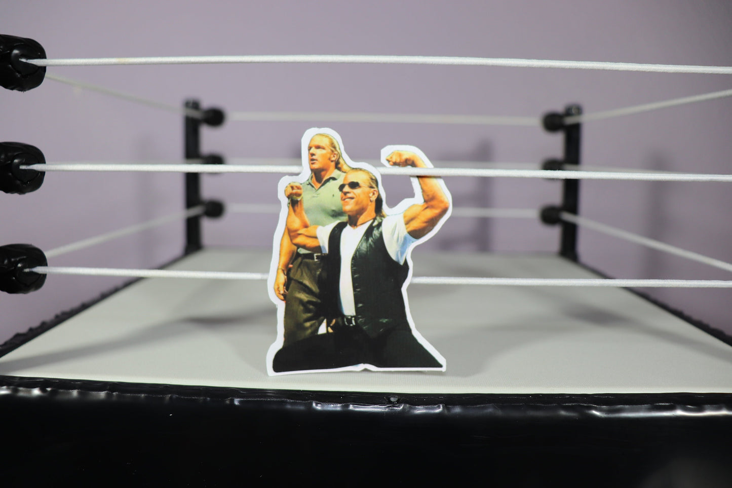 Shawn Michaels & HHH Sticker (Stickers - Decor - Pop Culture - Wrestling - Legends - Icons - Hulk Hogan - Randy Savage - Ric Flair)