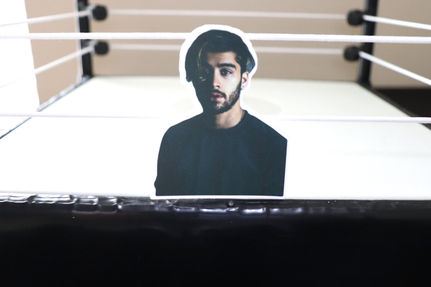 Zayn Sticker (One Direction, 1D)