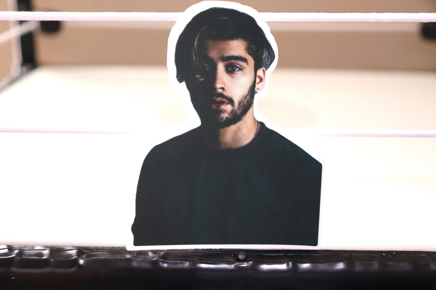 Zayn Sticker (One Direction, 1D)