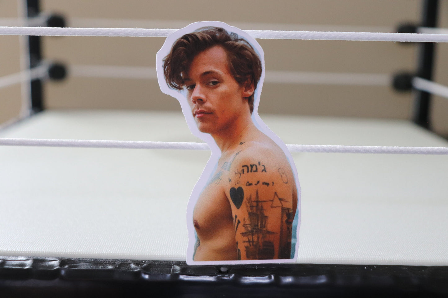 Harry Sticker #4