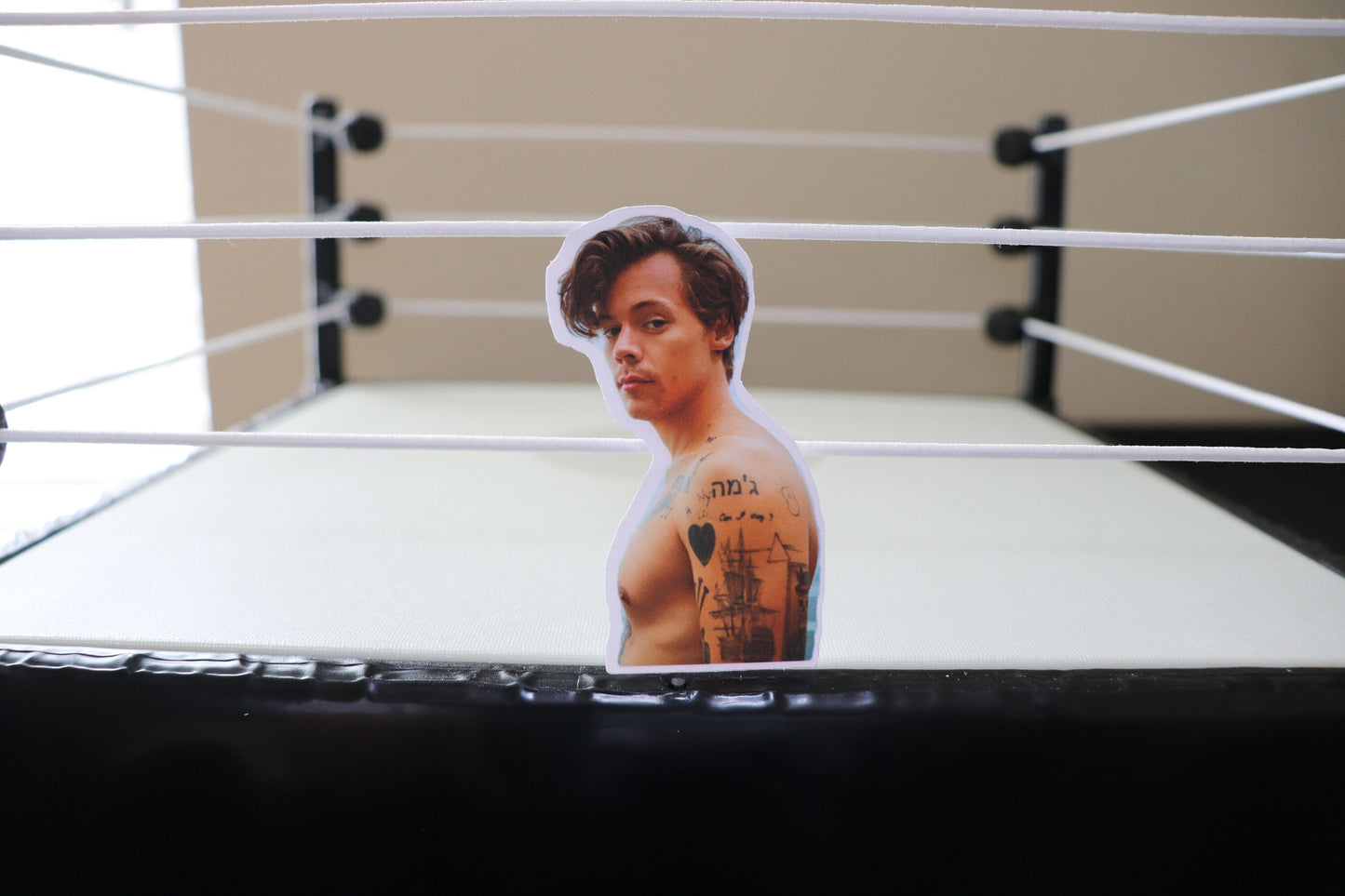 Harry Sticker #4