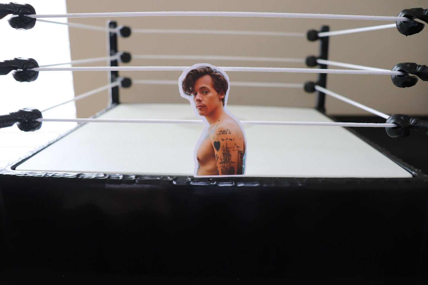 Harry Sticker #4