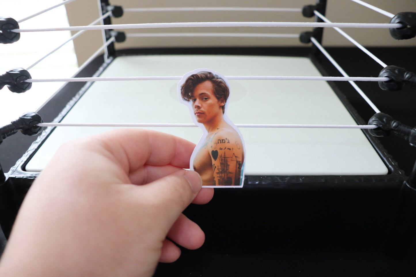 Harry Sticker #4