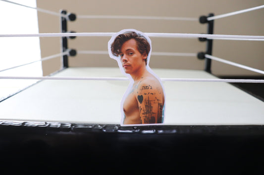 Harry Sticker #4