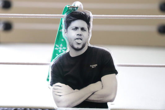 Niall Horan Acrylic Christmas Tree Ornament