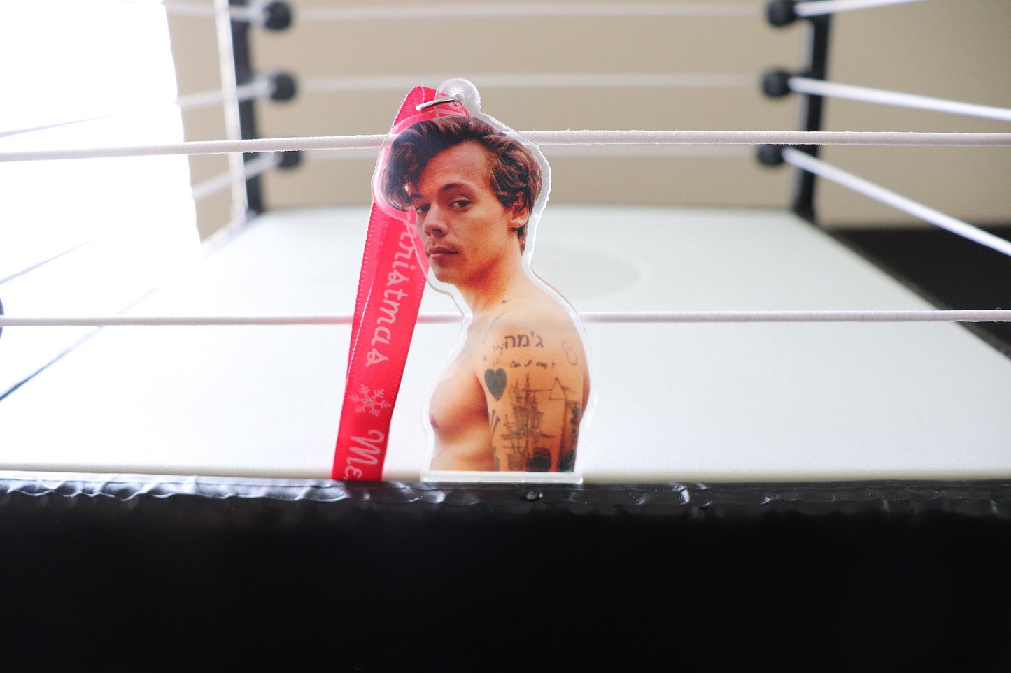 Harry Styles Acrylic Christmas Tree Ornament