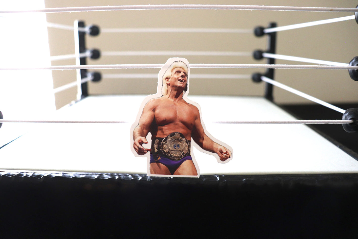 Ric Flair Champ Sticker 5