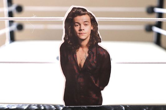 Harry Sticker #6