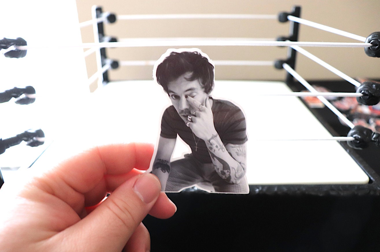 Harry Sticker #7