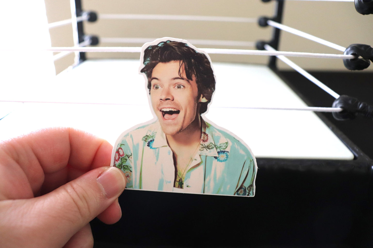 Harry Sticker #5