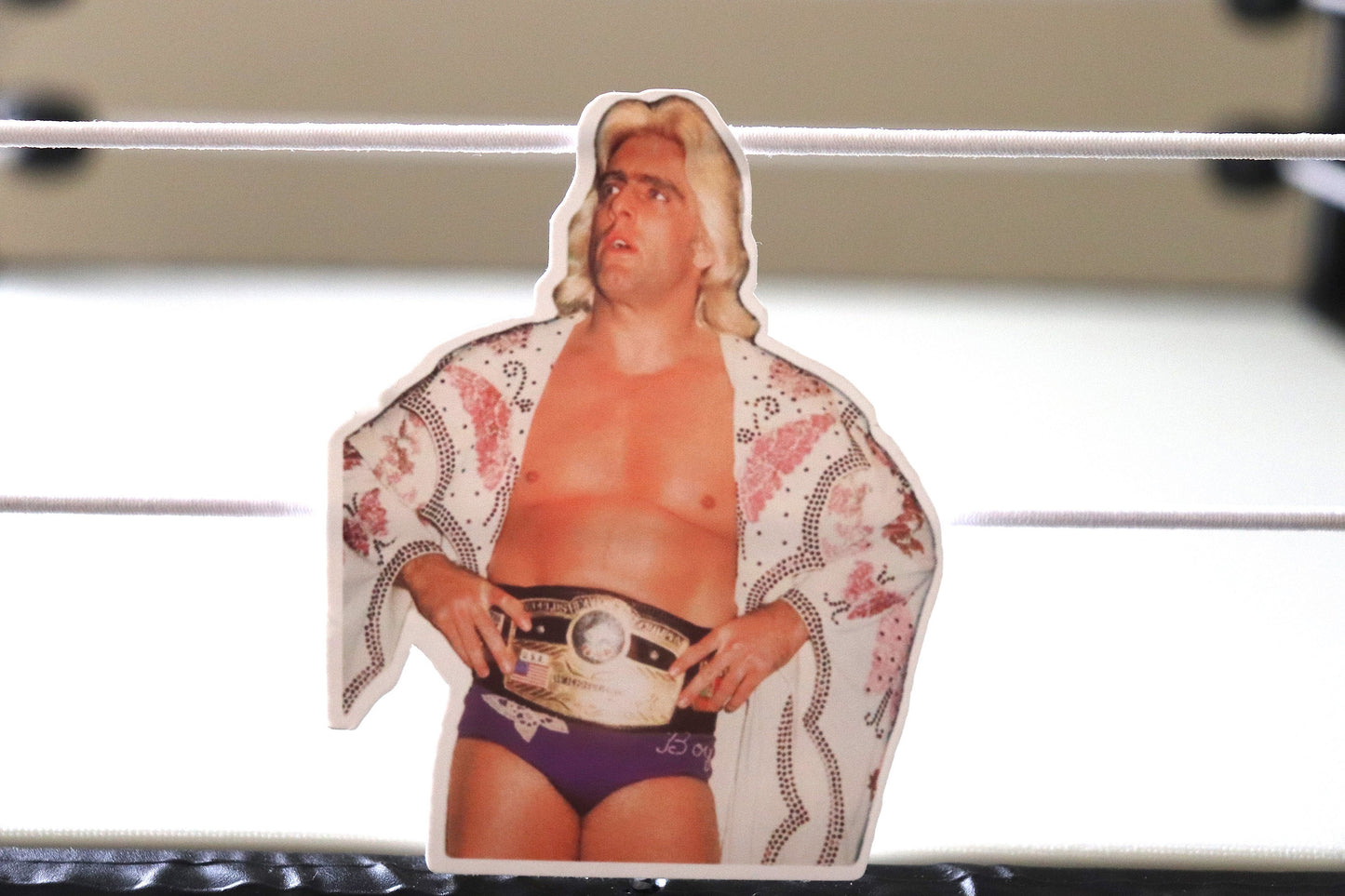 Ric Flair Champ Sticker