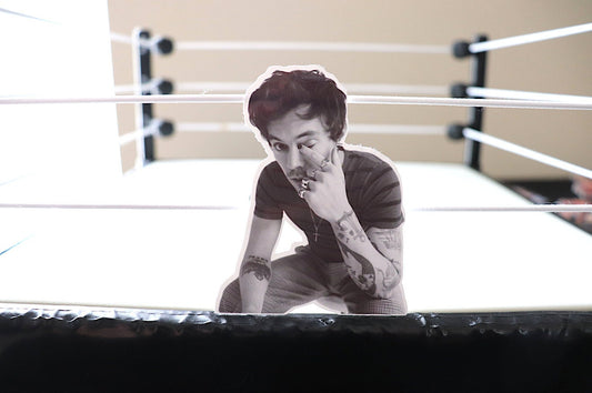 Harry Sticker #7