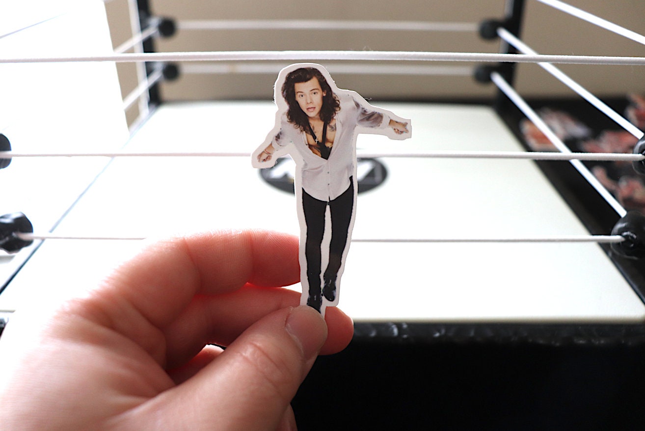 Harry Sticker #8