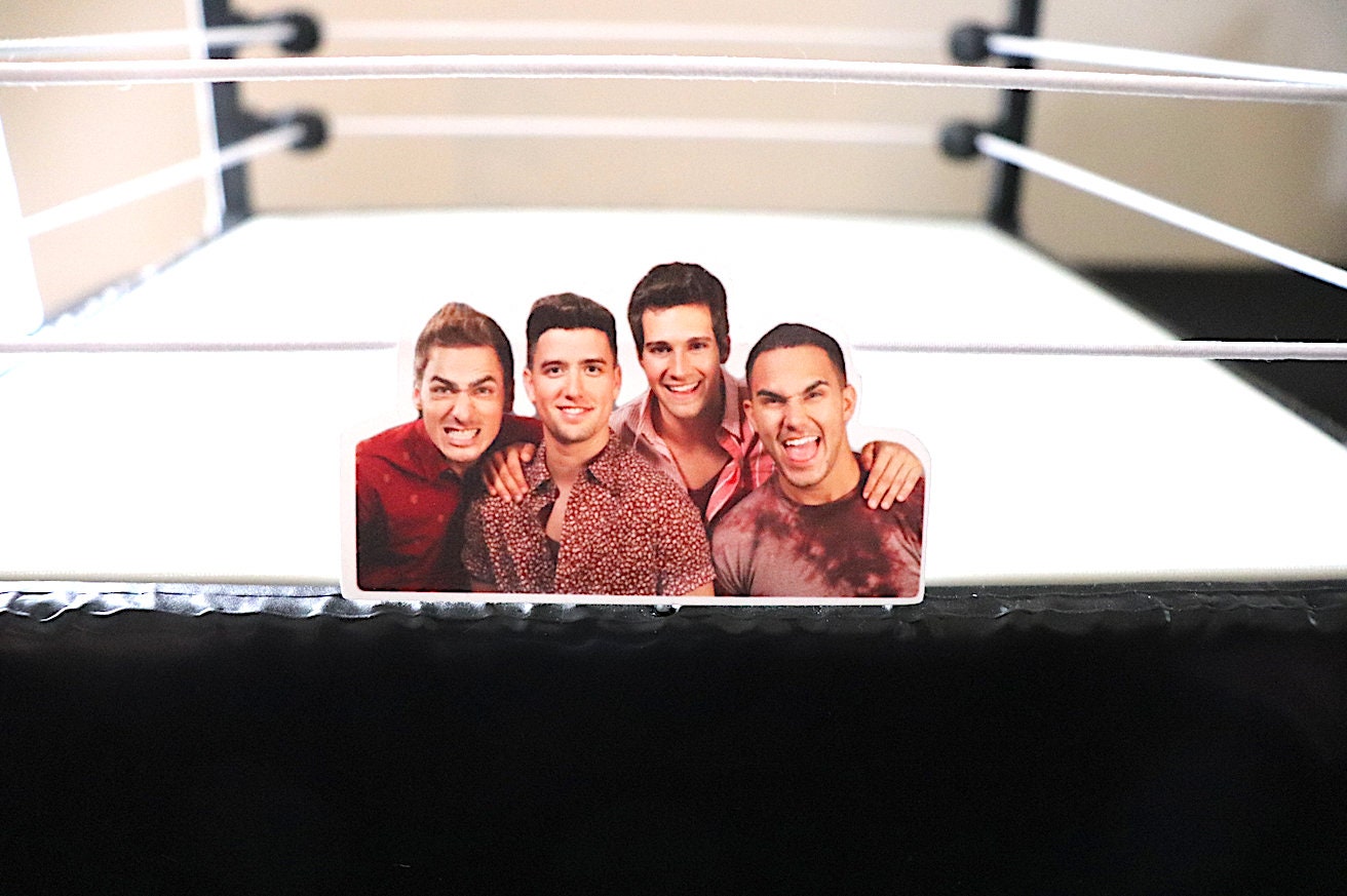 Big Time Rush Sticker #5 (BTR)