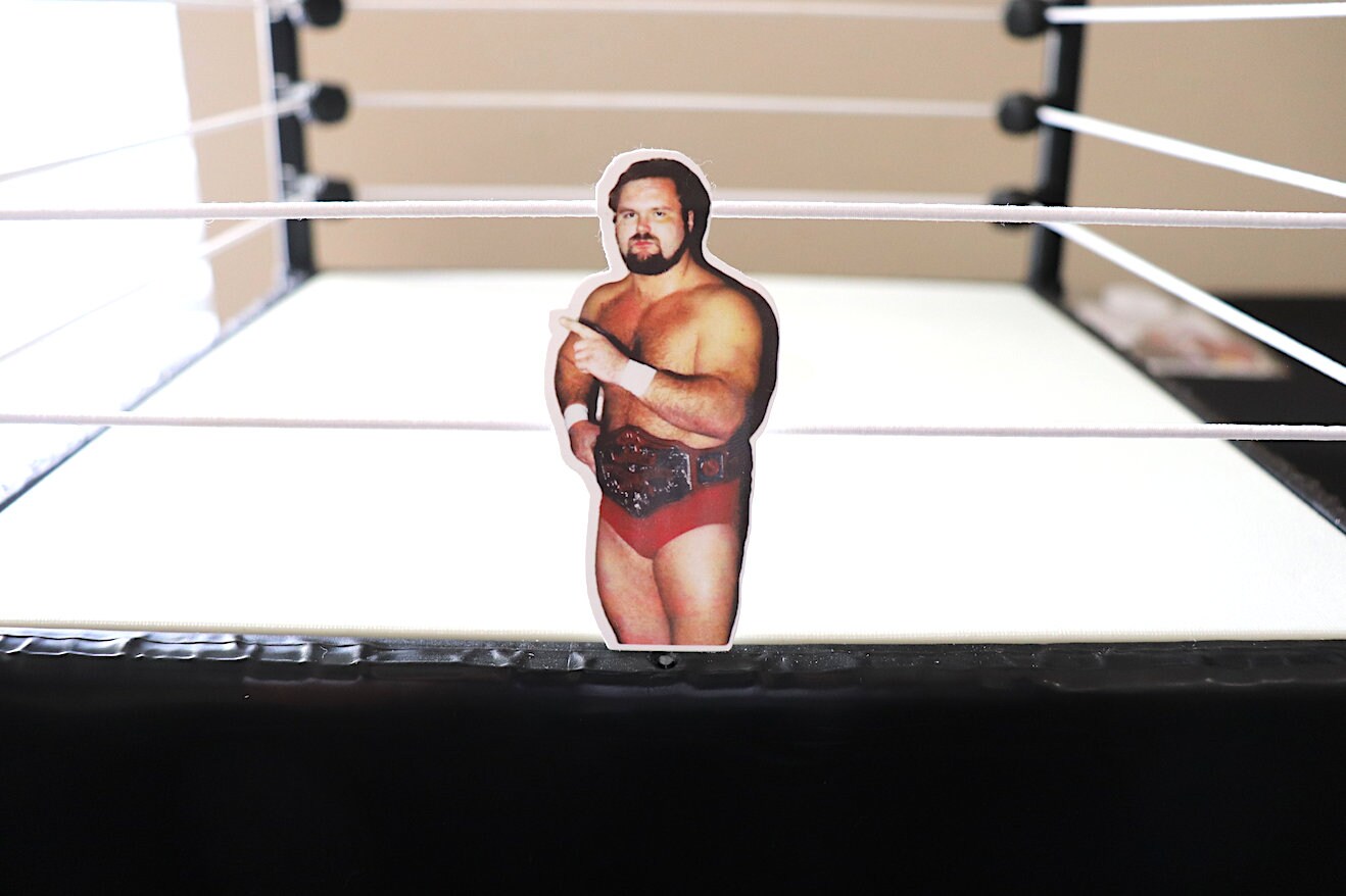 Arn Anderson Sticker No.2