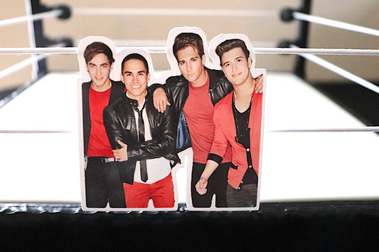 Big Time Rush Sticker #6 (BTR)