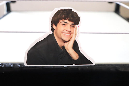 Noah Centineo Sticker