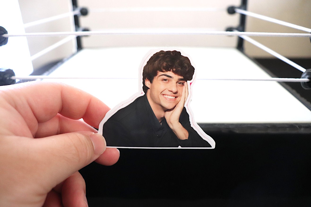 Noah Centineo Sticker