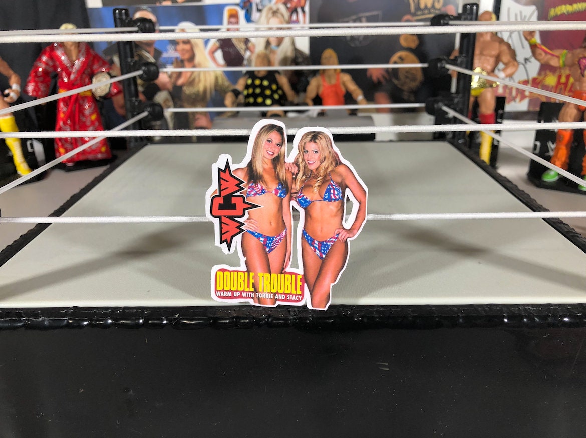 Torrie Wilson & Stacy Keibler Sticker