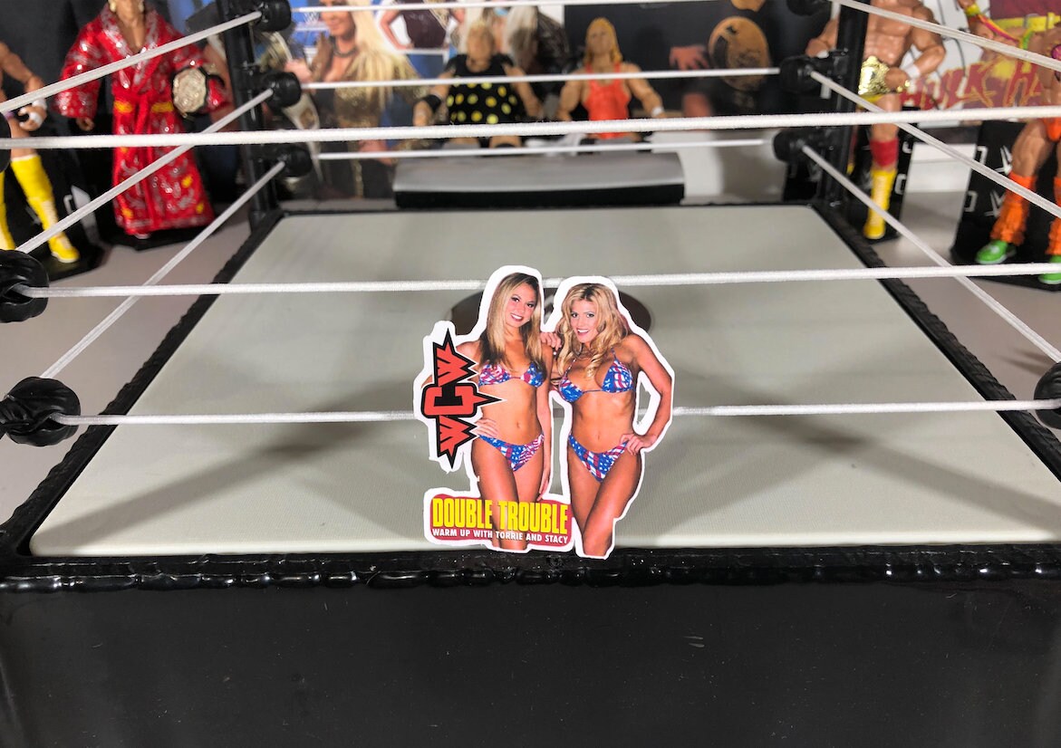 Torrie Wilson & Stacy Keibler Sticker