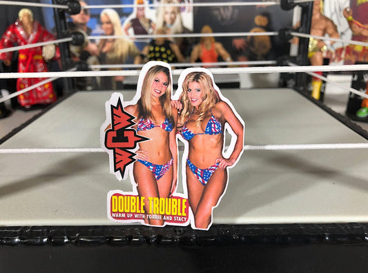 Torrie Wilson & Stacy Keibler Sticker