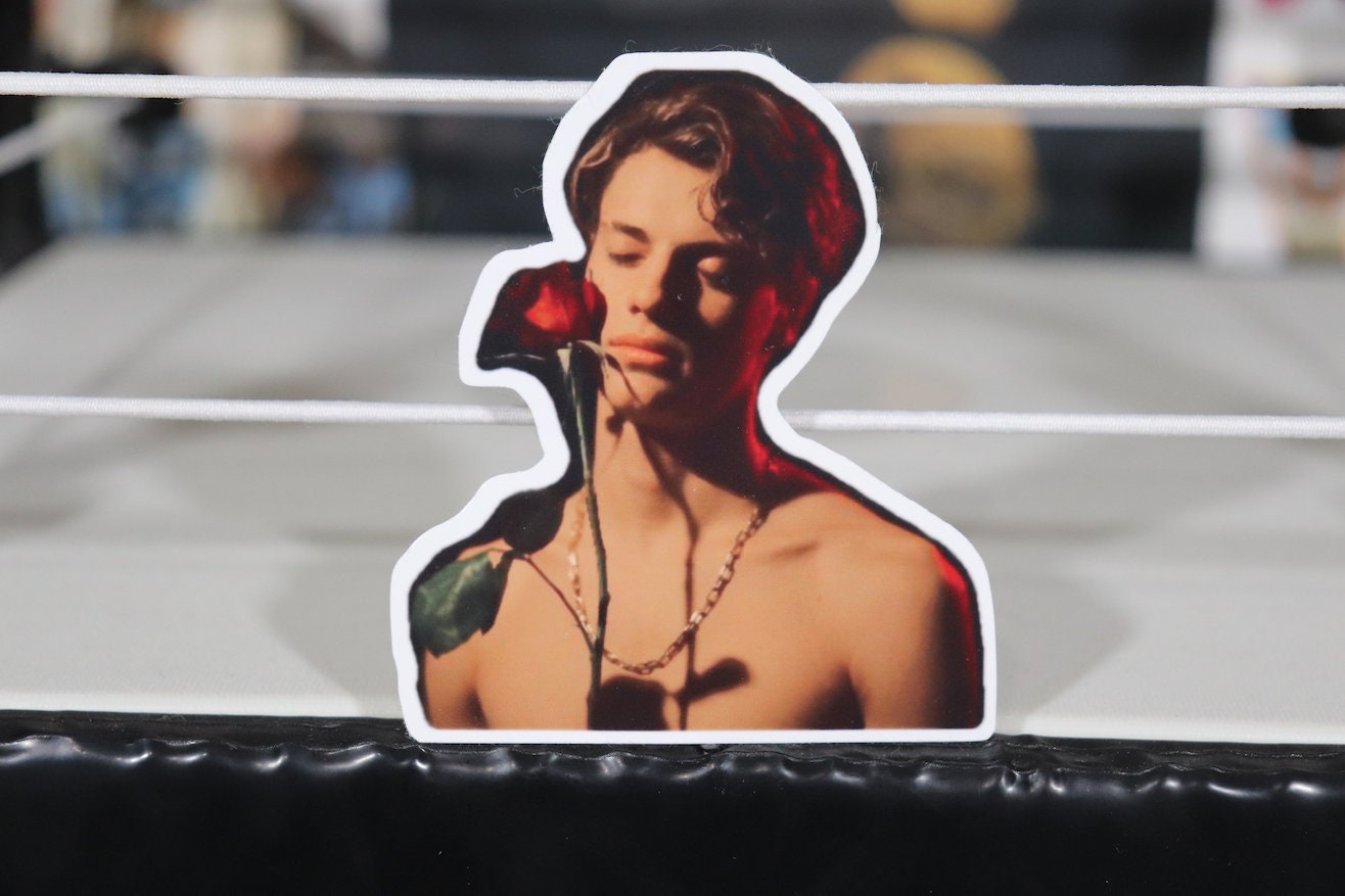 Jace Norman Sticker No.4