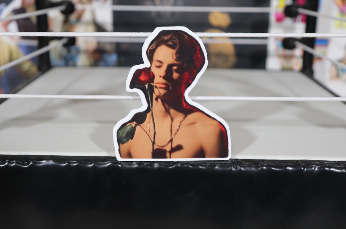 Jace Norman Sticker No.4