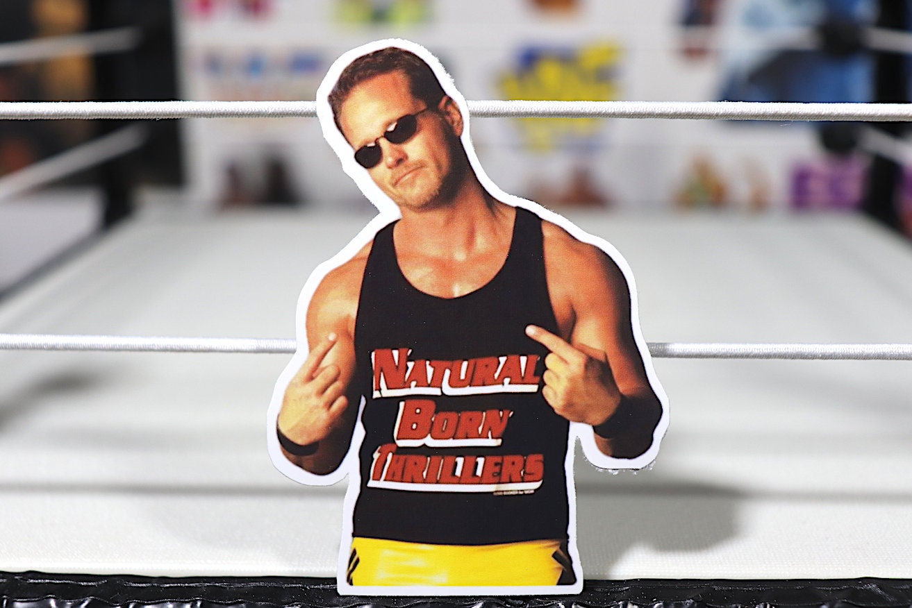 Mike Sanders Sticker (NBT, Hulk Hogan, Kevin Nash, Scott Hall, Ric Flair, Randy Savage, njpw, tna)