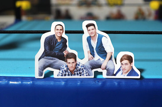 Big Time Rush Sticker #9 (BTR)