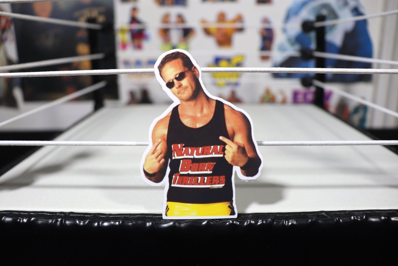 Mike Sanders Sticker (NBT, Hulk Hogan, Kevin Nash, Scott Hall, Ric Flair, Randy Savage, njpw, tna)