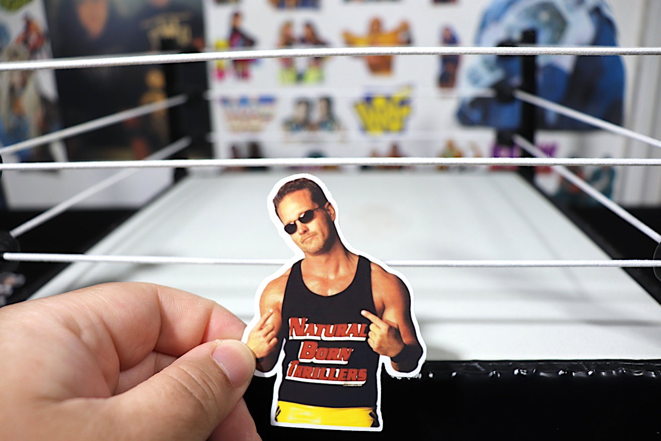 Mike Sanders Sticker (NBT, Hulk Hogan, Kevin Nash, Scott Hall, Ric Flair, Randy Savage, njpw, tna)