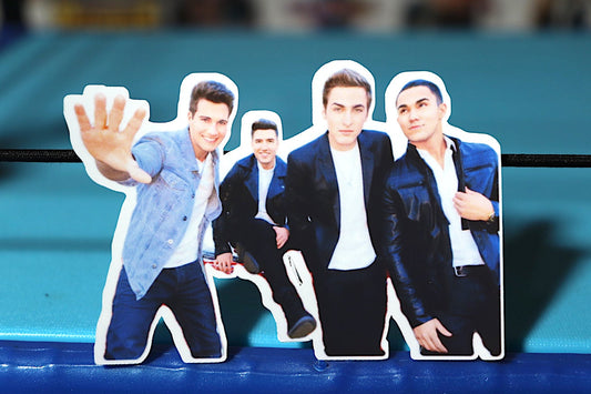 Big Time Rush Sticker #19 (BTR)